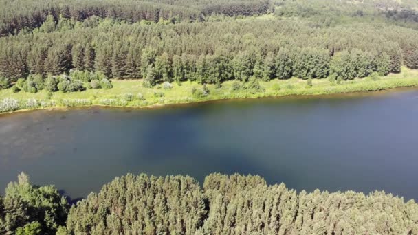 Letecký pohled shora na krásné malé jezero uhnízděné v borovém lese. Letní slunečný den — Stock video