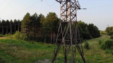 The post power lines located in the woods