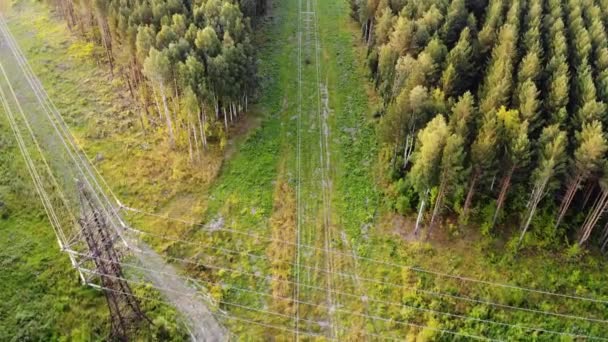 Luchtvlucht boven de elektriciteitsleidingen in het bos — Stockvideo