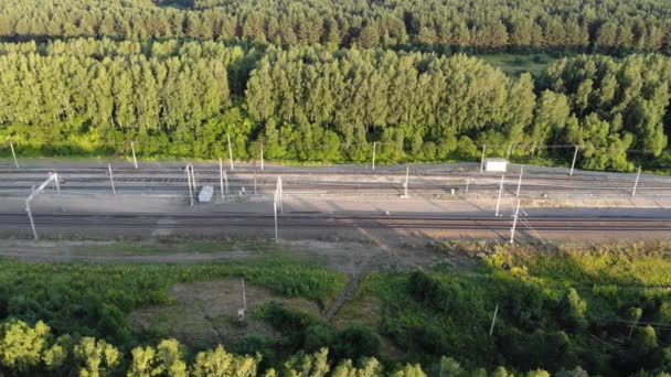 Aerial fly over of the railway along the forest in summer at sunset — Stockvideo