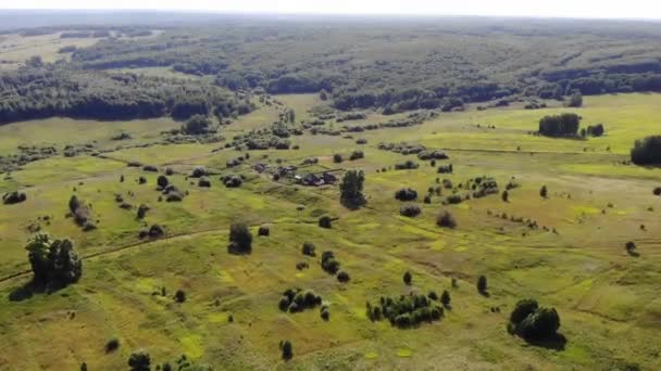 Imágenes aéreas del campo en medio del bosque en el soleado día de verano — Vídeo de stock