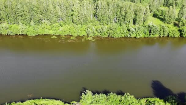 Top kilátás a folyó felett az erdőben egy napos nyári napon — Stock videók
