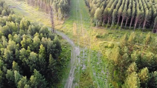 Воздушный сверху вниз 4k вид на линии электропередач, расположенные в лесу — стоковое видео