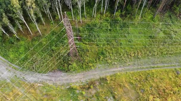 Luchtfoto naar beneden 4k uitzicht op de elektriciteitsleidingen in het bos — Stockvideo