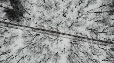 Top view of path in Park with trees in winter, with people walking along it