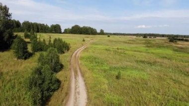Yazın güneşli bir günde, ormanda, kırsal toprak yolda, kenar boşluklarda uçan hava.