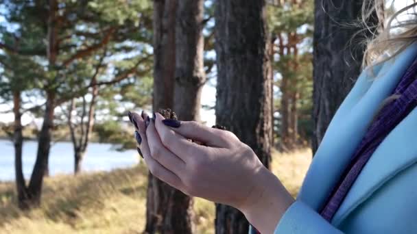Крупный план красивой молодой женщины бросает конусы хвойных деревьев в лес — стоковое видео