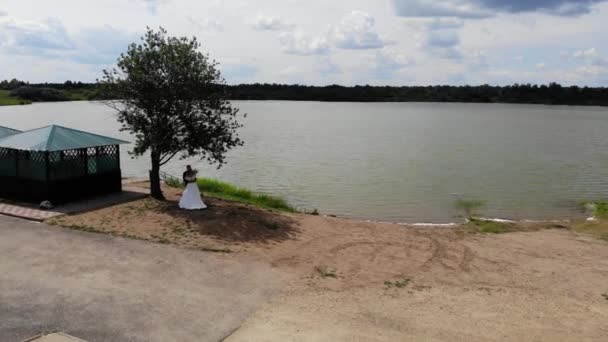 Aerial flight above of the groom and bride under tree at lake. Flight over lake — Stockvideo