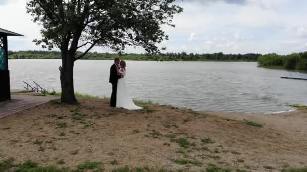 Luchtvlucht boven de bruidegom en bruid onder de boom bij het meer. Camera beweegt in cirkel rond — Stockvideo