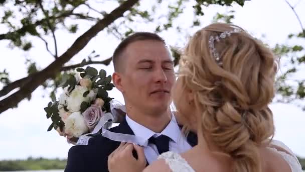 Newly married couple hugging and laughing by lake under tree. Closeup — Stok video