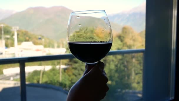 Крупный план силуэта бокала вина в женских руках на фоне окна с красивым пейзажем гор — стоковое видео