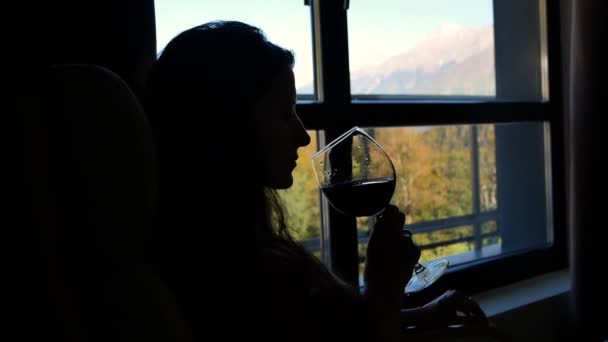 Närbild av silhuett av kvinna med glas vin i handen på bakgrund av fönster med vackra landskap av berg — Stockvideo