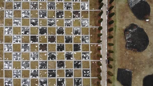 Сверху вниз абстрактный вид на сад, воздушный пейзаж общественного сада — стоковое видео