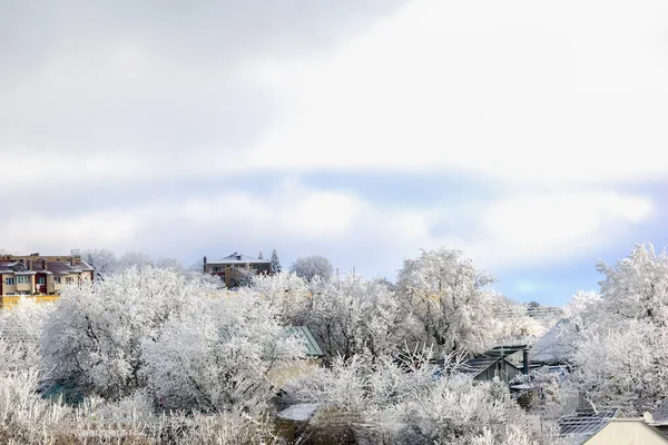 Winterliche Stadtlandschaft mit Bäumen und Schnee früh sonnig und frostig — Stockfoto
