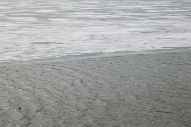 Kış sahnesi hızlı akan bir nehrin kenarında ince buz ve taze kar gösteriyor, baharda tehlike