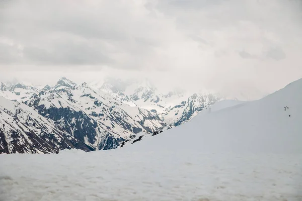 Yüksek karlı dağ zirveleri pofuduk tüylerle kaplı. — Stok fotoğraf