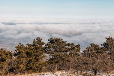 Dağın tepesinden ağaçların arasından bulutların manzarası