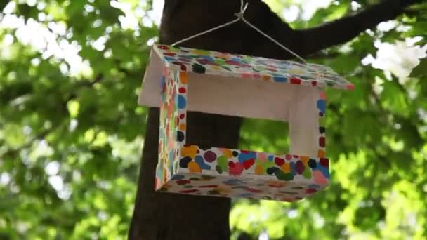 夏の庭の木に飾る鳥の家 — ストック動画
