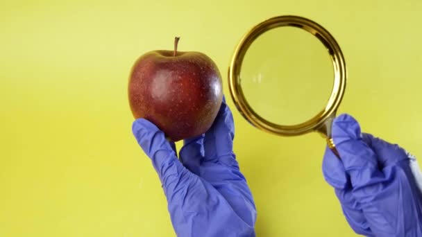 Científico examinando una gran manzana roja, concepto de alimentos genéticamente modificados — Vídeo de stock