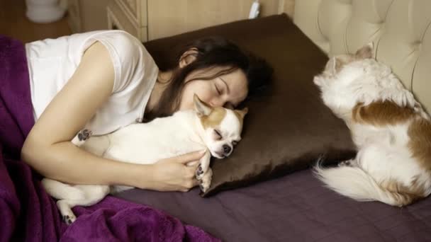 Mujer joven durmiendo en el dormitorio en la cama con perros — Vídeo de stock