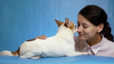 Şirin bir chihuahua yavru köpeğinin burun yalayan mutlu sahibi, genç bayan. Mavi arka plan. Köpek ve insanın aşkı.