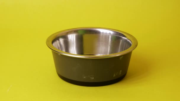 Aislado sobre fondo amarillo de comida seca para mascotas o kibble que se vierte en un plato vacío, tazón — Vídeo de stock
