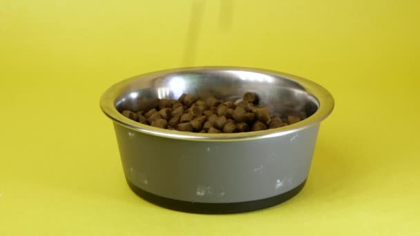 Close-up isolado no fundo amarelo de alimentos secos para animais de estimação ou kibble sendo derramado em um prato completo, tigela — Vídeo de Stock
