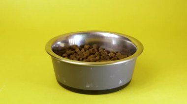 Sarı arka plandaki kuru hayvan mamasına ya da bir tabağa eklenen mama, kuru köpekle dolu kase kedi mamasına izole edilmiş.