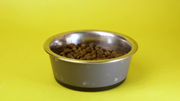 Aislado en el fondo amarillo de la comida seca para mascotas o kibble se añade en un plato, tazón con perro seco ir comida para gatos — Vídeo de stock