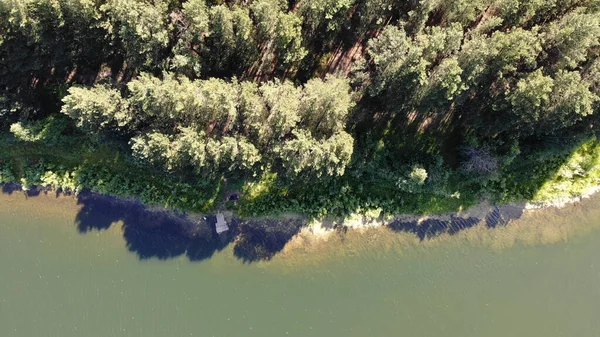 Aérea Cima Para Baixo Vista Costa Lago Uma Floresta Pinheiros — Fotografia de Stock