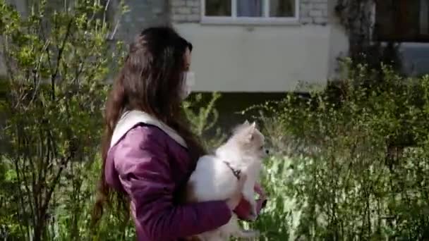 Portrait de jeune femme en masque médical et son chien Chihuahua marche dans la rue pendant la pandémie de virus de la couronne covid-19 — Video