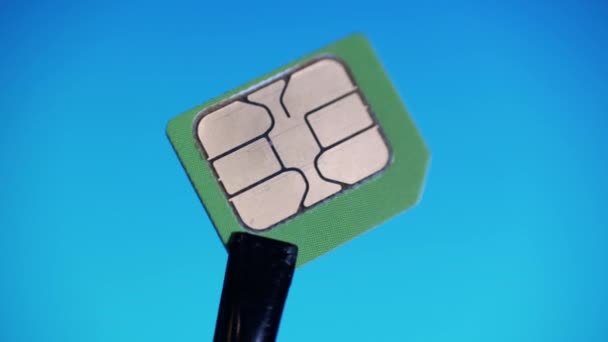 Ingeniero de equipos de comunicación en guantes azules sosteniendo pinzas una tarjeta micro SIM verde en el laboratorio o en la fábrica — Vídeos de Stock