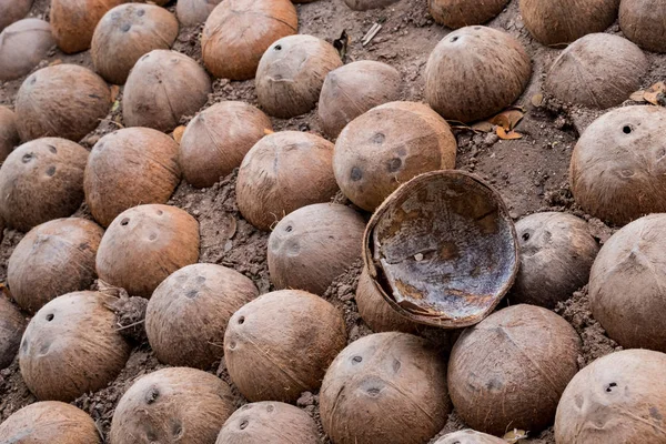 La cáscara de coco — Foto de Stock