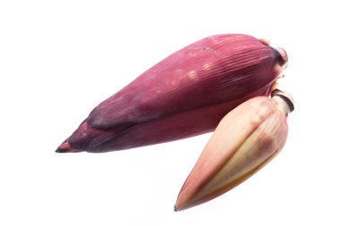 büyük muz çiçeği