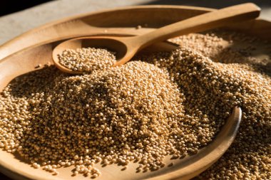 Organik beyaz quinoa