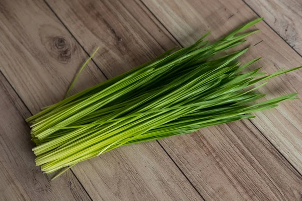 Organic Wheat grass — Stock Photo, Image