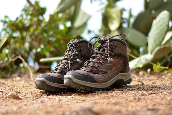 森の中の茶色のハイキング ブーツ — ストック写真