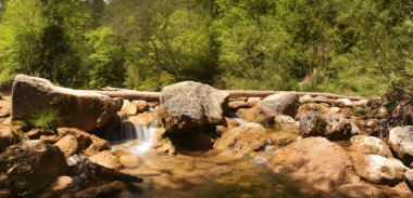 Şelaleler ormandaki Katalanca 