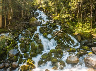 İspanyol Pyrenees vadide fotoğraflarını.