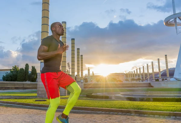 Échelle d'entraînement musculaire mâle au sol et cônes . — Photo