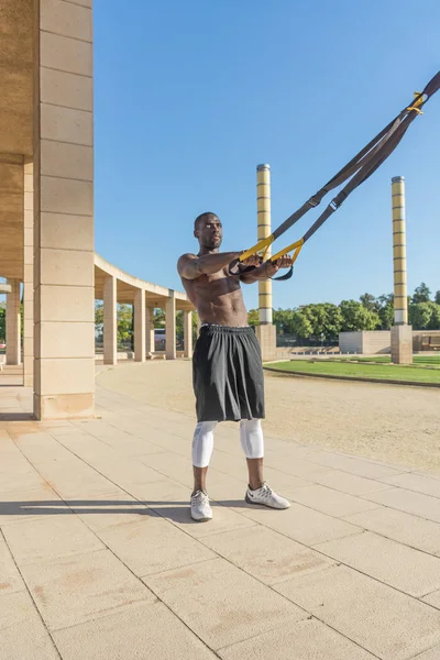 Sistem trx erkek kas eğitim 