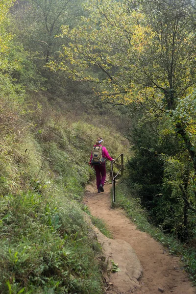 Sportlerin wandert durch Wälder — Stockfoto