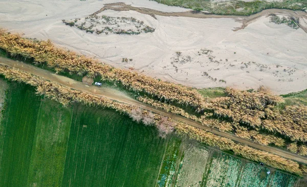 Aerial views of several fields of crops i — Stock Photo, Image