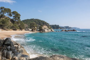 Büyük dalgalar ile güneşli bir gün sahilde yalnız. 