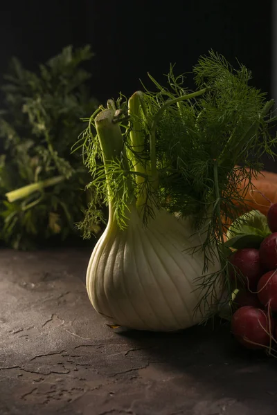 Fresh fennel with radishes and carrots ecological.