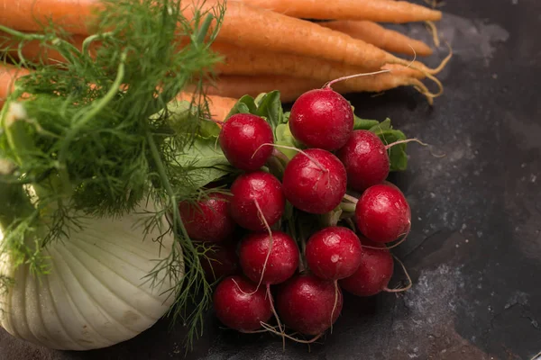 Fresh fennel with radishes and carrots ecological.