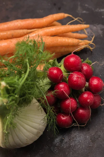 Frischer Fenchel mit Radieschen und Karotten ökologisch. — Stockfoto