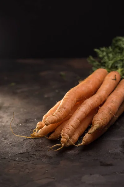 Set carrots freshly collected from the field. — Stock Photo, Image