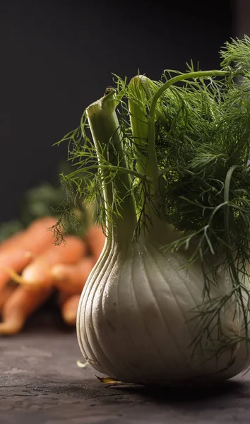 Fresh fennel with radishes and carrots ecological.