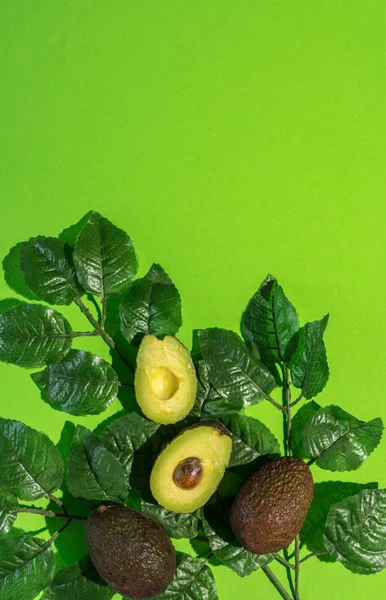 Fresh avocado on a green background — Stock Photo, Image